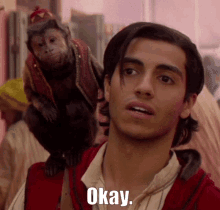 Okay Aladdin GIF - Okay Aladdin Abu GIFs