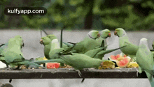 Parrots.Gif GIF - Parrots Fly Flying GIFs