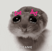 a hamster with pink bows on its head is crying and says meanie .