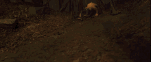 a cartoon character is crawling out of a hole in the ground with his hand out .