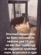 a blurred image of a dog in a room with russian text