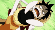 Luffy And Carrot One Piece GIF