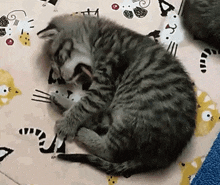 Yawn Cat GIF - Yawn Cat Hysterical GIFs