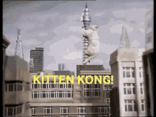 The Goodies London GIF - The Goodies London Cat GIFs