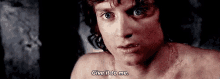 Frodo Lotr GIF - Frodo Lotr Give GIFs