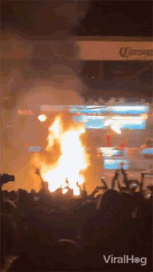 GIF