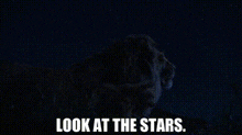 The Lion King Mufasa GIF - The Lion King Mufasa Look At The Stars GIFs