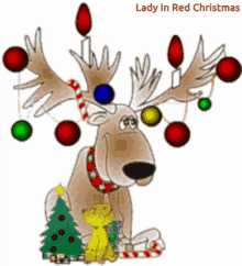 Reindeer Christmas GIF - Reindeer Christmas GIFs