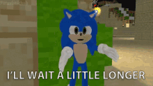Ill Wait A Little Longer Sonic GIF - Ill Wait A Little Longer Sonic Sit Down GIFs