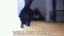 Hey There GIF - Hey There GIFs