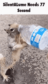 a squirrel is drinking water from a plastic bottle .