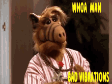 Alf Whoa GIF - Alf Whoa Bad Vibrations GIFs
