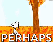 snoopy is standing next to a tree in a field of leaves with the word perhaps written below him .