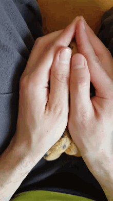 a close up of a person holding a stuffed animal