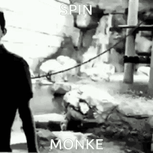 spin monkey funny banana humor