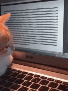 Cat Keyboard GIF - Cat Keyboard Ginger Cat GIFs