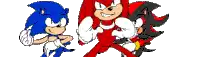 sonic the hedgehog , knuckles the echidna and shadow the hedgehog are standing next to each other on a white background