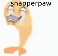 snapperpaw snap