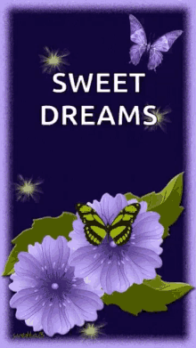 Sweet Dreams Goodnight GIF - Sweet Dreams Goodnight Purple GIFs