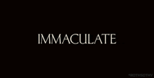 Immaculate 2024 GIF - Immaculate 2024 Neon GIFs