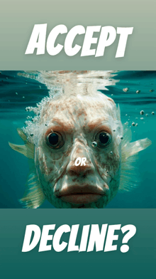 a picture of a fish under water with the words accept or decline below it