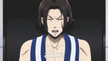 a cartoon of a man with the word alice written on his chest