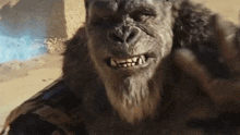 Godzilla X Kong The New Empire Meme GIF - Godzilla X Kong The New Empire Kong Meme GIFs