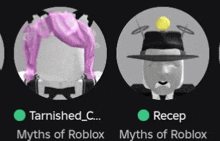 a picture of a girl with pink hair and a man with a hat and the words myths of roblox on the bottom