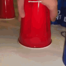 a person is holding a red cup on top of a white surface