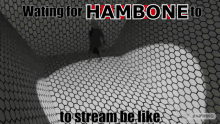 Hambone Ttv Hambone GIF