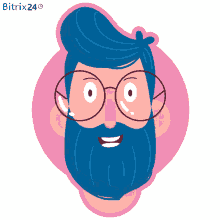 beard bitrix24fun