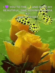Butterfly Yellow Rose GIF - Butterfly Yellow Rose I Love You GIFs