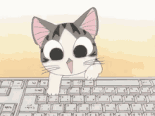 Wow Typing GIF - Wow Typing Cat GIFs