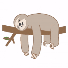 unhappy sloth