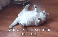 Cat Relax GIF - Cat Relax Roll GIFs