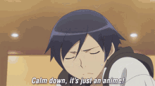 Calm Down Its Just An Anime GIF