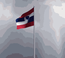 Ourocosta Flag GIF