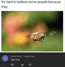 a picture of a tiger bug with the caption it 's hard to believe some people because they by tyrese buck