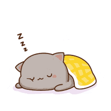 Cat Sleeping GIF - Cat Sleeping Clingy GIFs