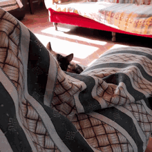 Looking For Spying GIF