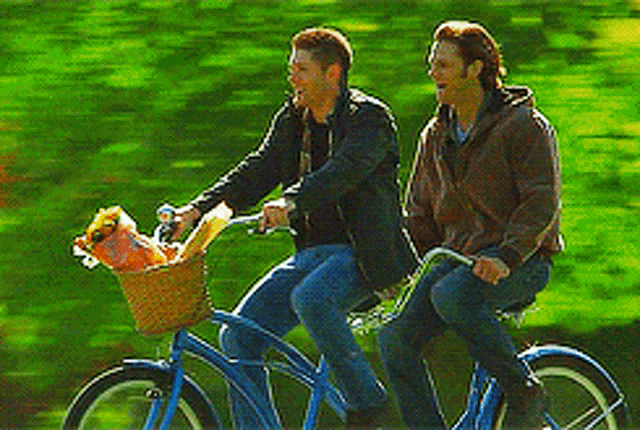 Tandem Bike GIFs Tenor