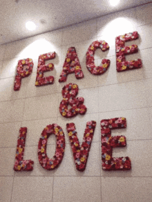Pueblaenpaz Peace And Love GIF - Pueblaenpaz Peace And Love GIFs