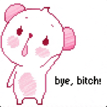 a pixel art of a bear saying bye bitch .