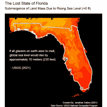 Florida Pepe La Global Warming GIF - Florida Pepe La Florida Global Warming GIFs
