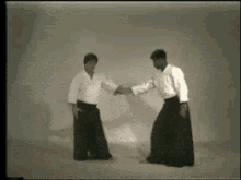 Aikido Martial Arts GIF - Aikido Martial Arts GIFs