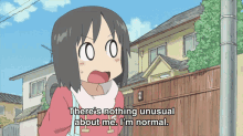 Im Normal Theres Nothing Unusual GIF - Im Normal Theres Nothing Unusual Nichijou GIFs