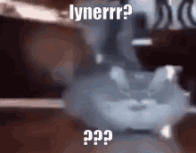 Lynerrr Cis GIF - Lynerrr Cis Cte GIFs
