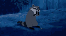Meeko Raccoon GIF - Meeko Raccoon Cookie GIFs