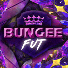 Bungee F GIF - Bungee F GIFs