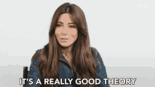 Its A Really Good Theory Belief GIF - Its A Really Good Theory Theory Belief GIFs